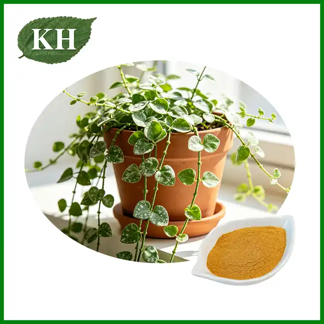 Cissus Quadrangularis Extract Powder